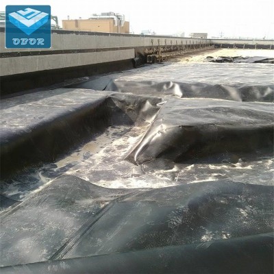 Cheap Price HDPE Geomembrane for Fish Farm Man-Made Artificial Lake