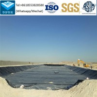 HDPE Geo Membrane for Industrial Pond Liners