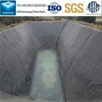 GM13 50 Mil Plastic HDPE Membrane for Dam Pond Liner